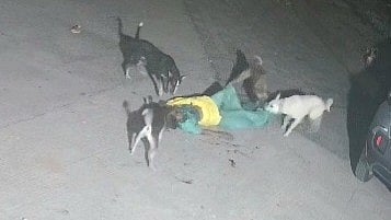 ठाणे
