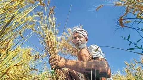 Climate Change Impacts on Agriculture