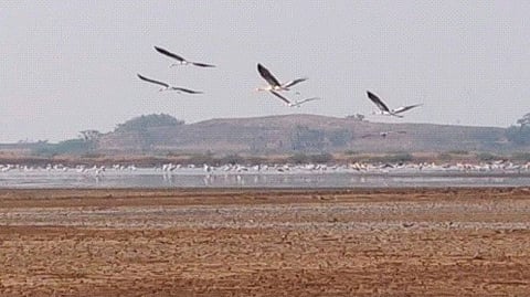 Uran wetland protection