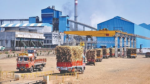 Sugarcane News
