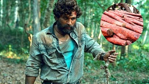 Pushpa Movie Red Sandalwood 