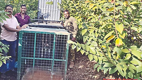 जानोरी, नाशिक