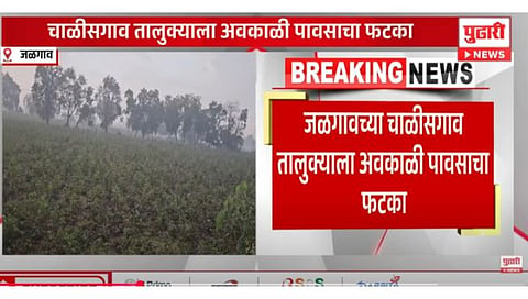 Jalgaon Unseasonal Rain