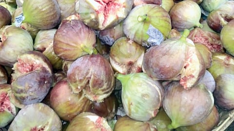 pune fig news