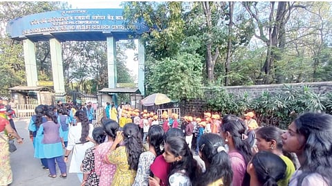 Pune Katraj Zoo