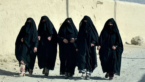 Taliban News | 