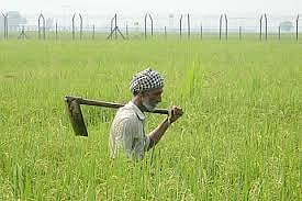 नाशिक