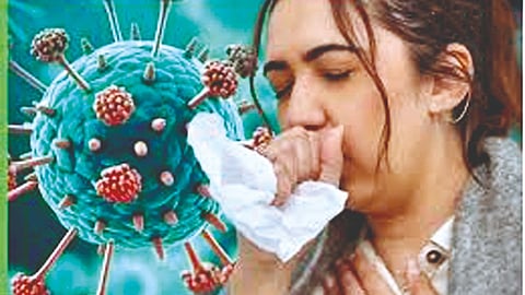 ‘HMPV’ virus