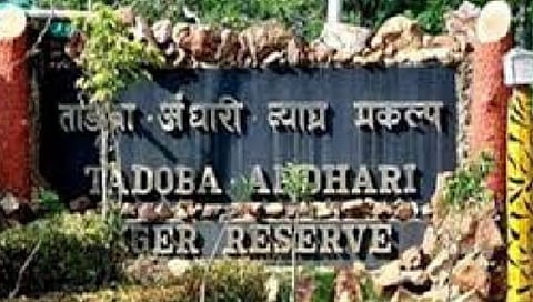 Chandrapur News
