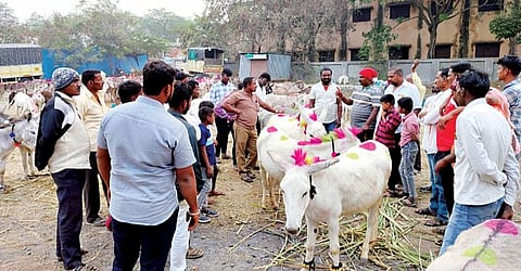 Jejuri News