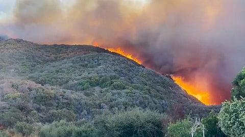 Los Angeles Wildfire
