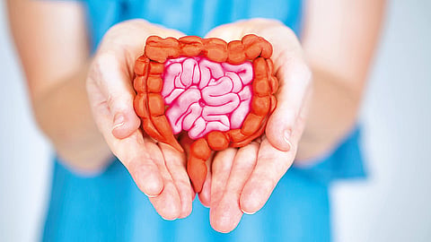 Gut health