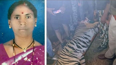 Tiger Attack 