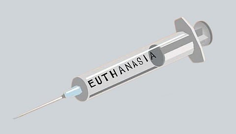Euthanasia