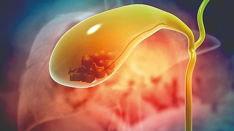 Bile and gallbladder