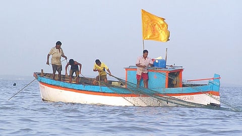 Raigad Fisheries |  रायगडमध्ये मत्स्य व्यवसायाची उलाढाल