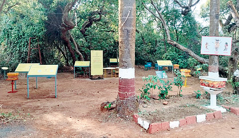 Satara News |