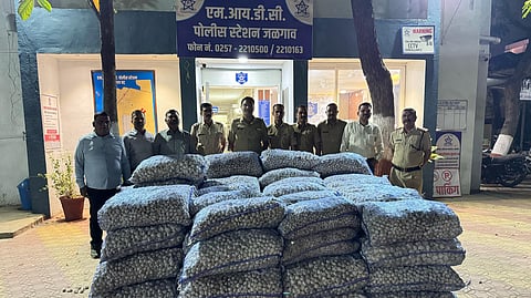 जळगाव
