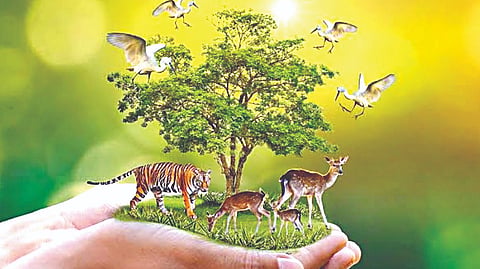 From schools to tea stalls: Raising awareness about wildlife conservation