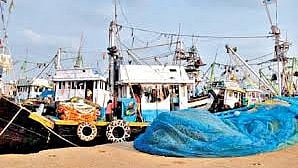 Raigad News  |  जलमार्ग मंत्रालयाकडून  पारंपारिक मच्छिमारांची फसवणूक 
