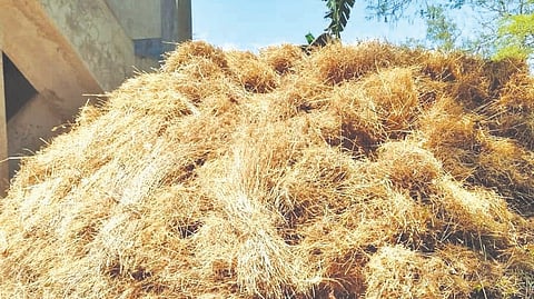 fodder shortage