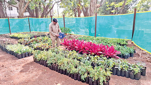 Greener Belgaum |