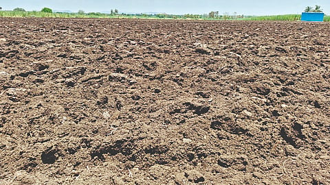 Agriculture Goa