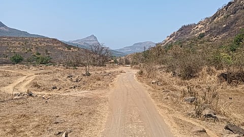 महाड (रायगड)
