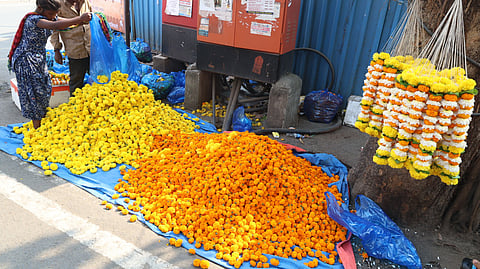 अलिबाग  (रायगड) 