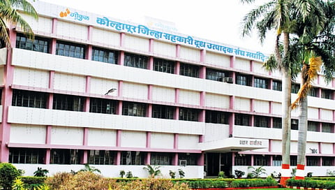 winners and losers in zilla parishad and panchayat samiti to contest gokul elections