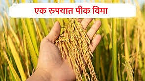 एक रुपयात पीक विमा योजना 