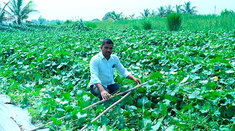 Mandavgan Pharata News