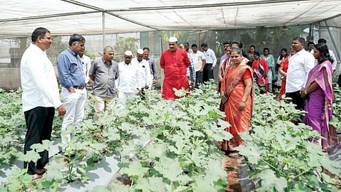 Alandi News