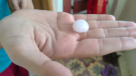 जळगाव