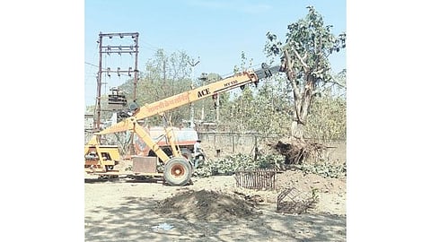 मालेगाव (नाशिक) 