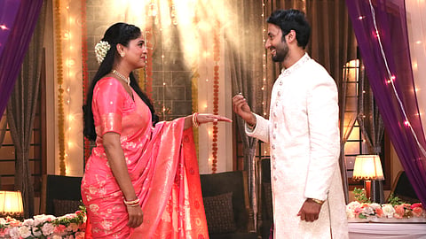 Laxmi Niwas serial 