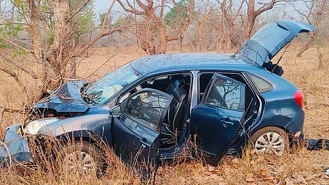 Wild boar hits tourist car in Tadoba Sanctuary; four injured