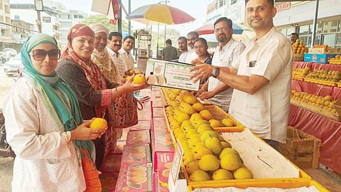 Manchar News
