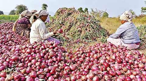 Onion Crisis