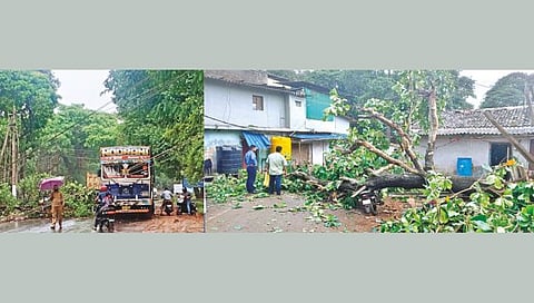 Storm damages