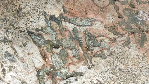Chandrapur Mineral Reserves |