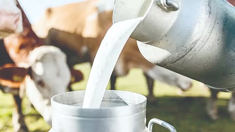 Milk shortage in Raigad  