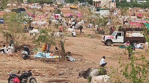 Kharasundi Chaitri Yatra |