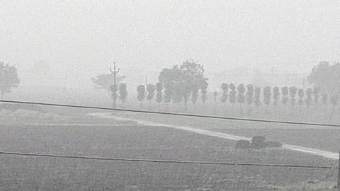 Unseasonal Rain 