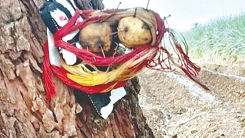 Ashta superstition case