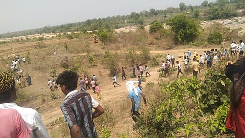 Tiger in Bhnadara