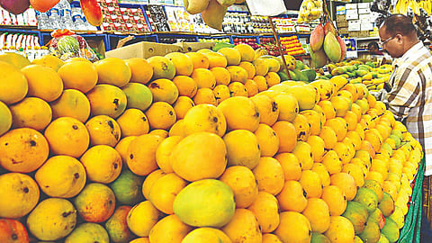 mango