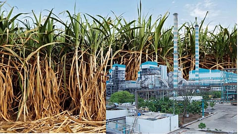 Hike in Sugarcane FRP