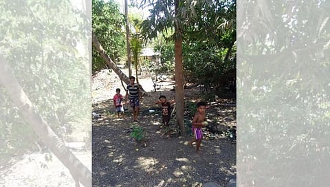 Summer  vacation  |  उन्हाळा आला... सुट्टी आली... गजबजल्या अंगणात लहानग्यांची धमाल झाली!