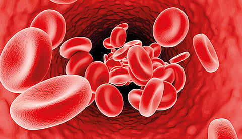 World Thalassemia Day
